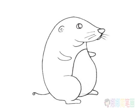 鼹鼠怎么画,可爱的鼹鼠简笔画步骤图解教程及图片大全