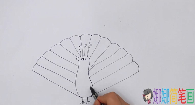 怎么画大孔雀开屏，彩色儿童简笔画画法步骤