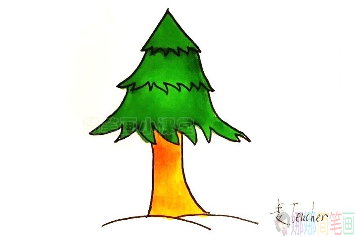 松树儿童简笔画,松树的画法彩色