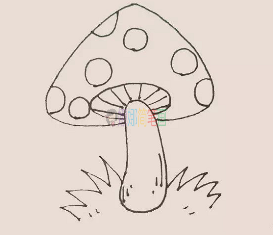 蘑菇简笔画彩色