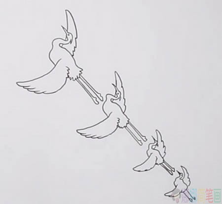 一行白鹭上青天简笔画画法