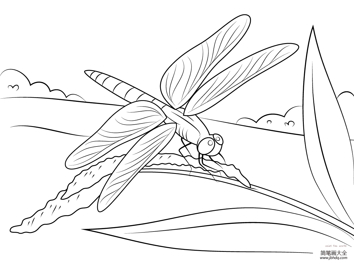 卡通蜻蜓的画法