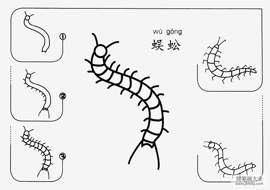 蜈蚣怎么画