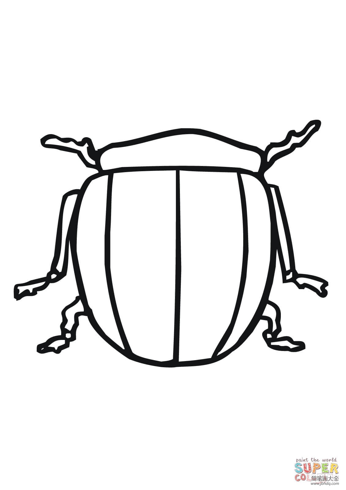 科罗拉多甲虫