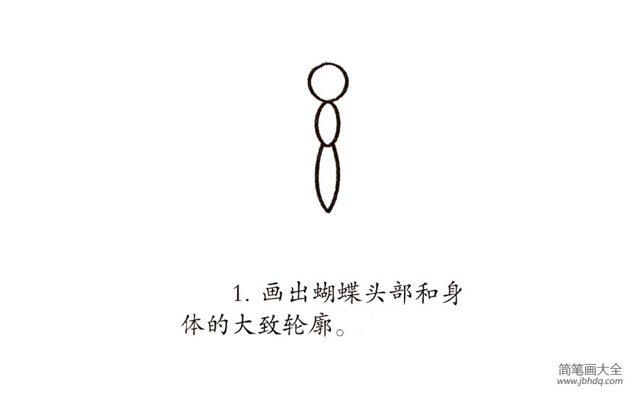 一步一步学画花蝴蝶