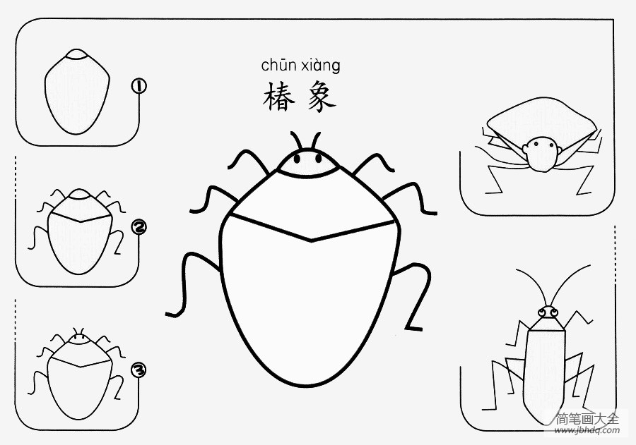 椿象怎么画