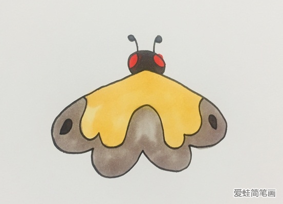 飞蛾怎么画