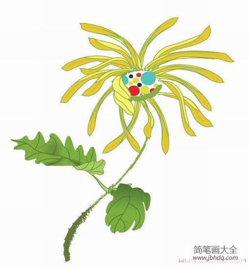 手绘菊花简笔画