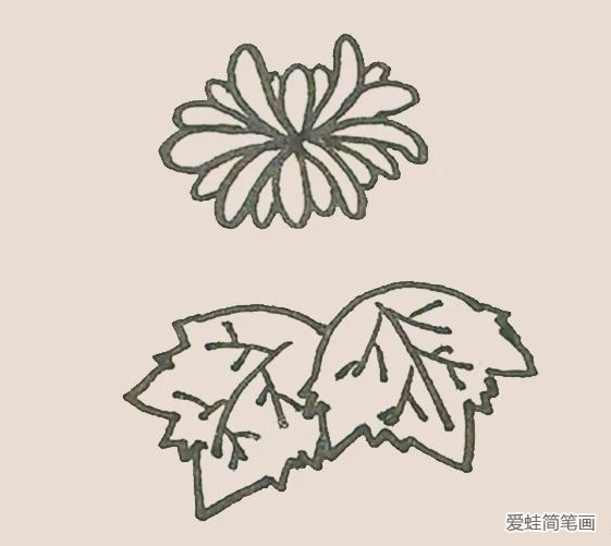 简笔画之菊花