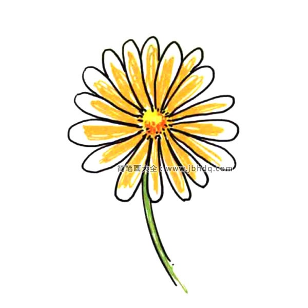 画支小花送自己 野菊花