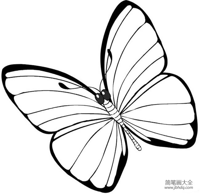 有关于蝴蝶的简笔画精选