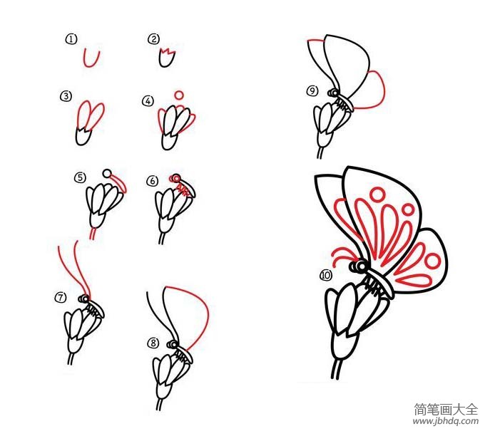 简笔画教程 蝴蝶简笔画步骤