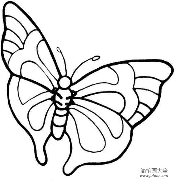 简单的蝴蝶简笔画