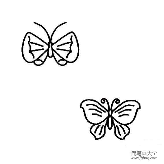 多种多样的蝴蝶简笔画