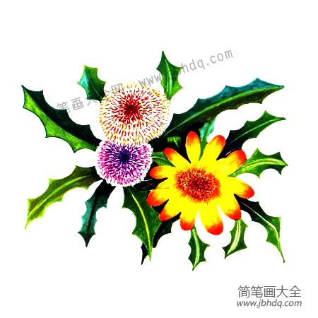 4.画出深浅不同的绿色叶子，再画出深色的地面。