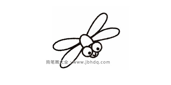 第四步▷  接着画出背部的两对翅膀，前后翅膀长度差不多。