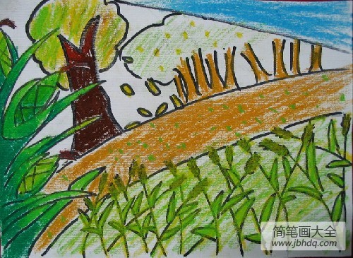 小学画秋天的图画-秋天在哪里