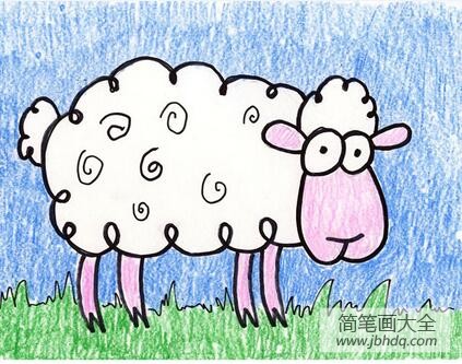 可爱的小绵羊动物彩铅画作品欣赏