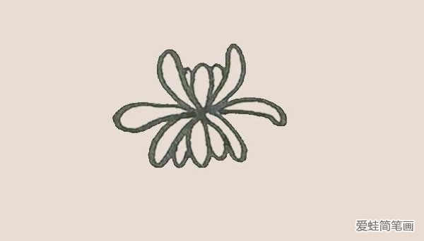 菊花简笔画