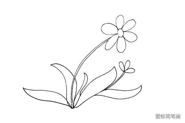 太阳花简笔画