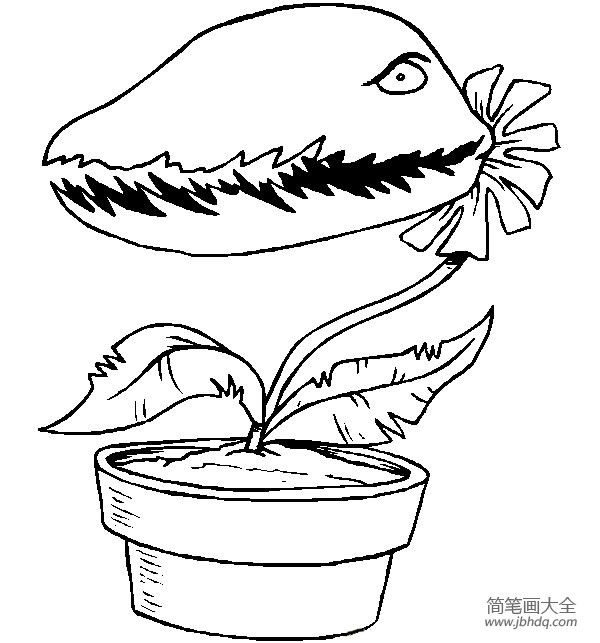 花朵简笔画 卡通花朵简笔画图片