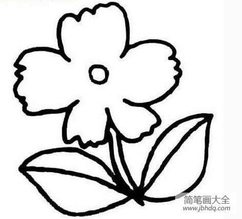 简笔画画花草 花草简笔画图片