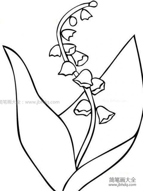 三张铃铛花简笔画图片