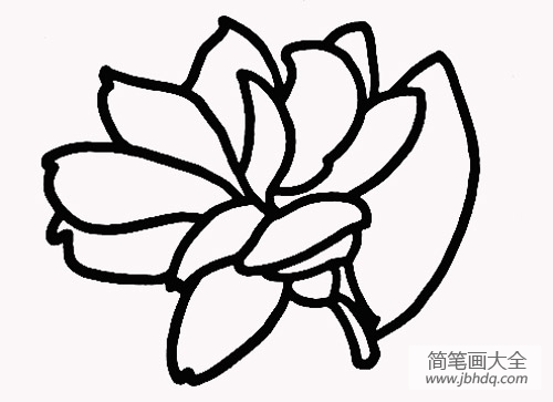 茉莉花简笔画画法