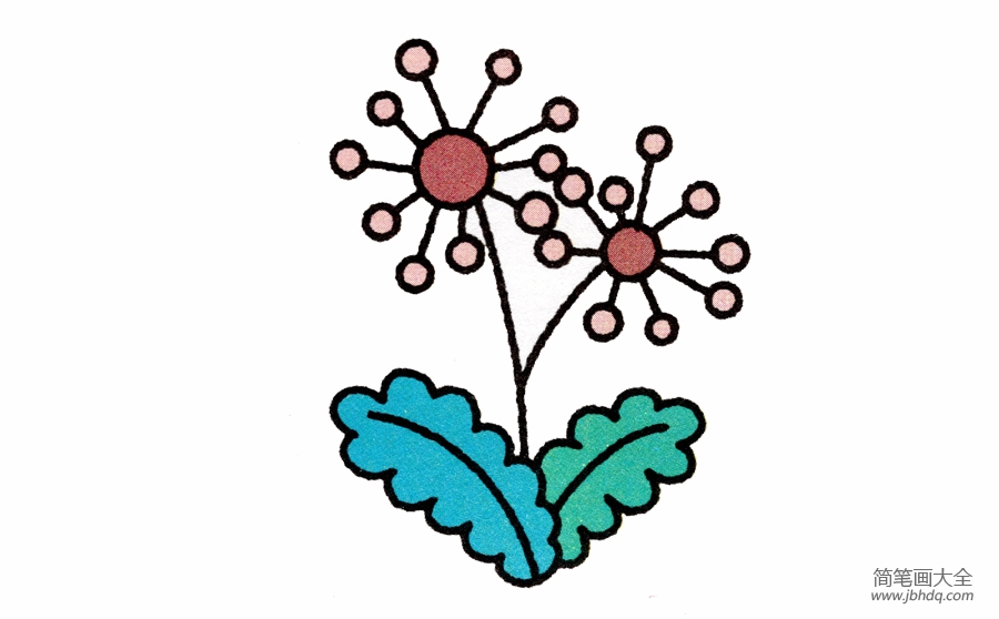 蒲公英简笔画画法