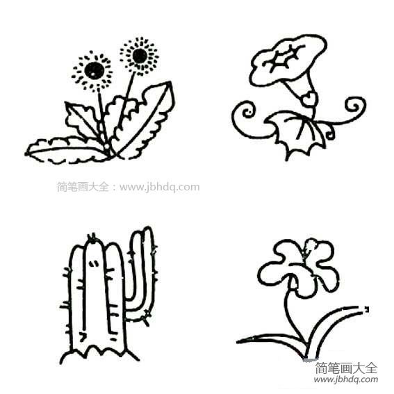 花卉简笔画图片