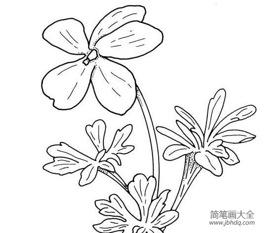 花朵简笔画素材 卡通花朵简笔画