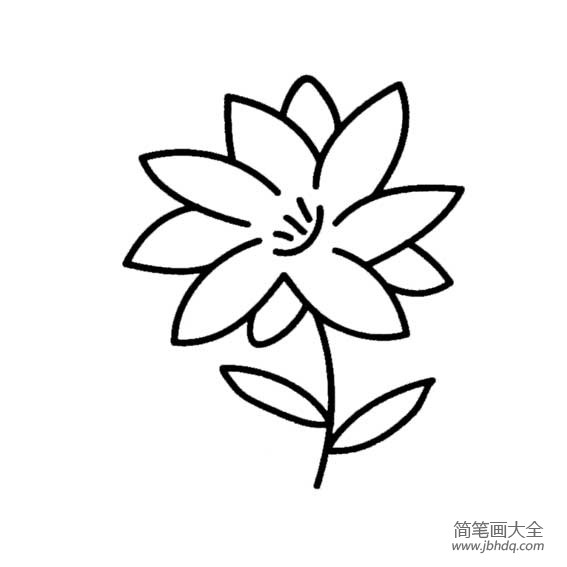 小清新花朵简笔画 小花朵的简笔画图片