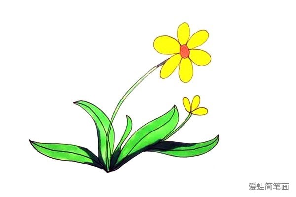 太阳花简笔画