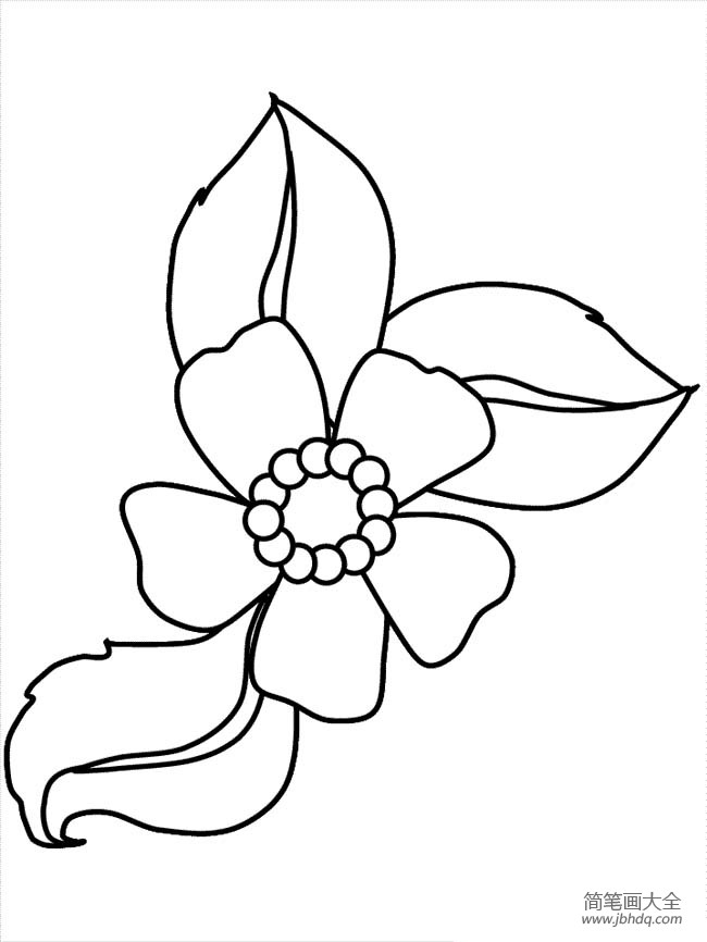 五瓣花的多种画法