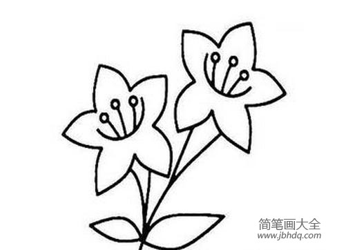 手绘百合花简笔画 画百合花的简笔画