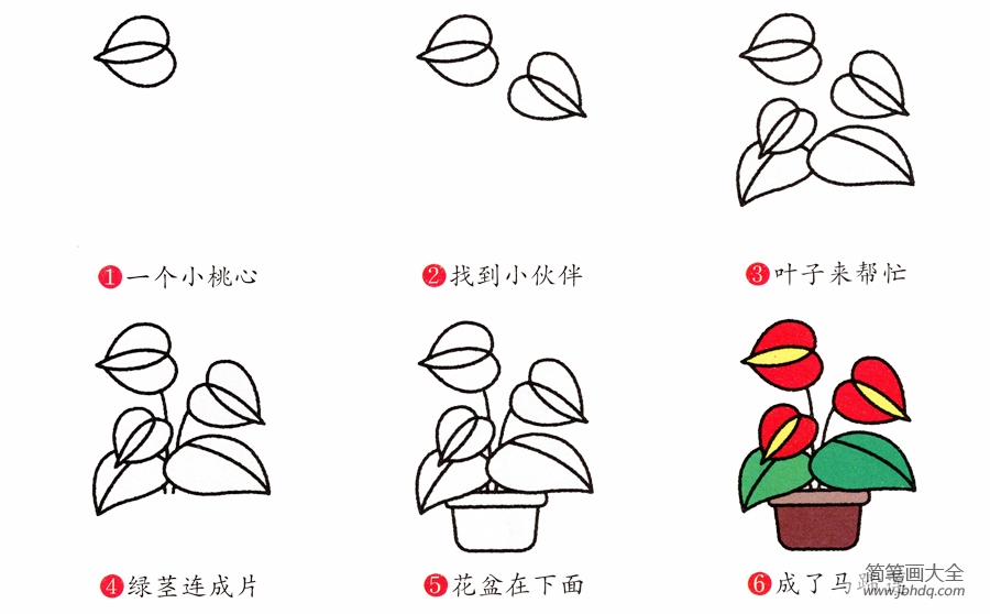 马蹄兰简笔画画法
