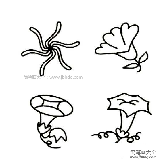 简笔画图片花朵