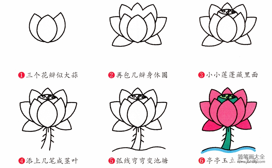 荷花简笔画画法