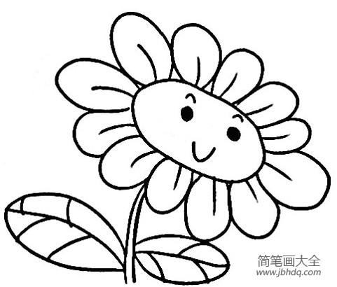 向日葵花简笔画 简笔画向日葵花图案