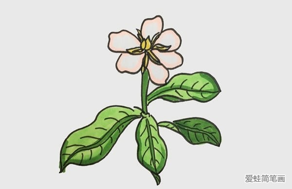 栀子花简笔画
