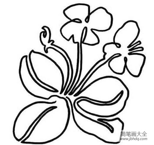 蝴蝶花简笔画图片 蝴蝶花简笔画大全