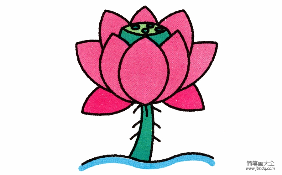 荷花简笔画画法