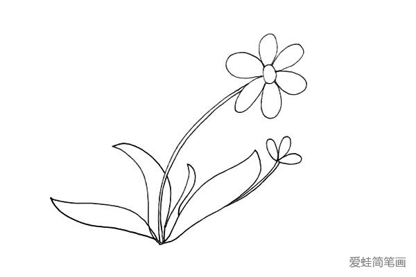 太阳花简笔画