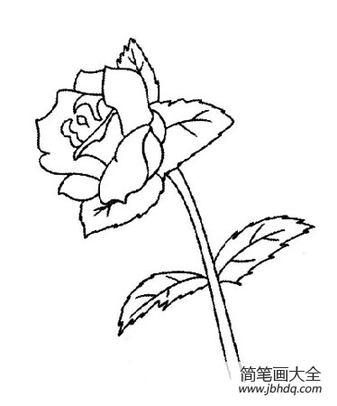 花 栀子花简笔画