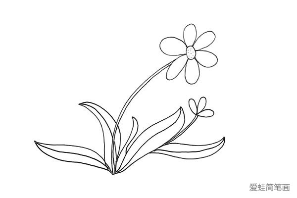 太阳花简笔画