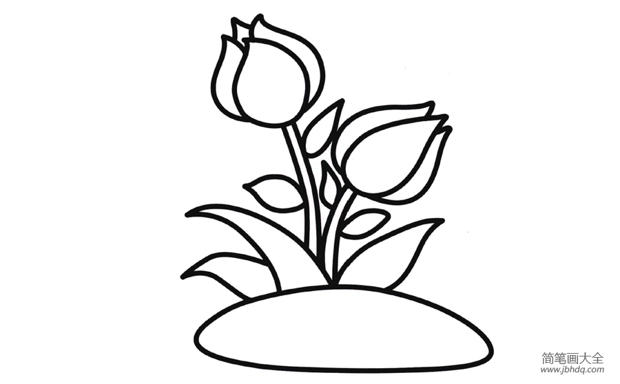 月季花简笔画图片