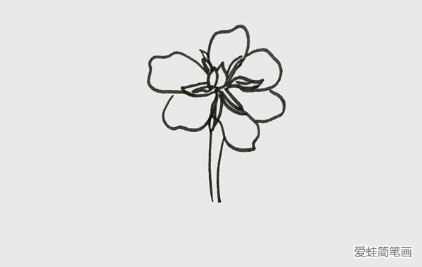 栀子花简笔画