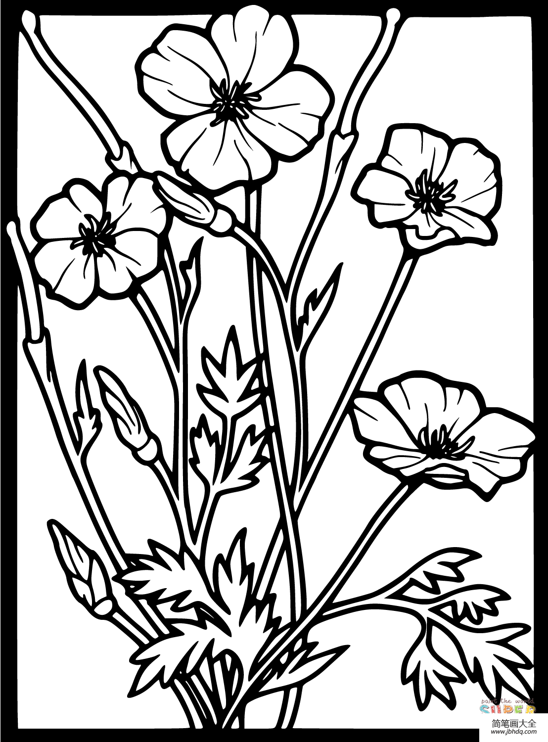 简单的罂粟花画法