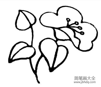 简笔画画花草 花草简笔画图片