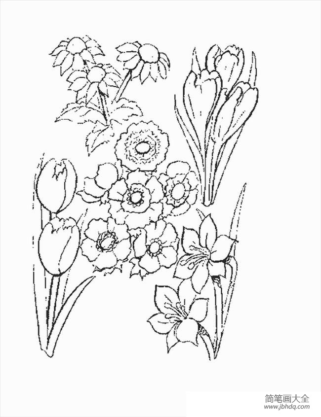 几种花朵的简笔画画法